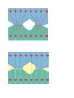 The relationship between the thermal conductivity of Dobon Silicone Film and its hardness and thickness